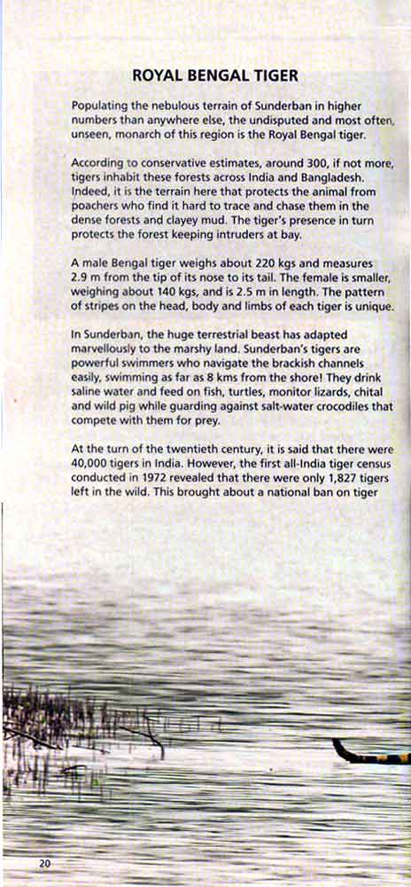 Wild Trail in Bengal 7th page