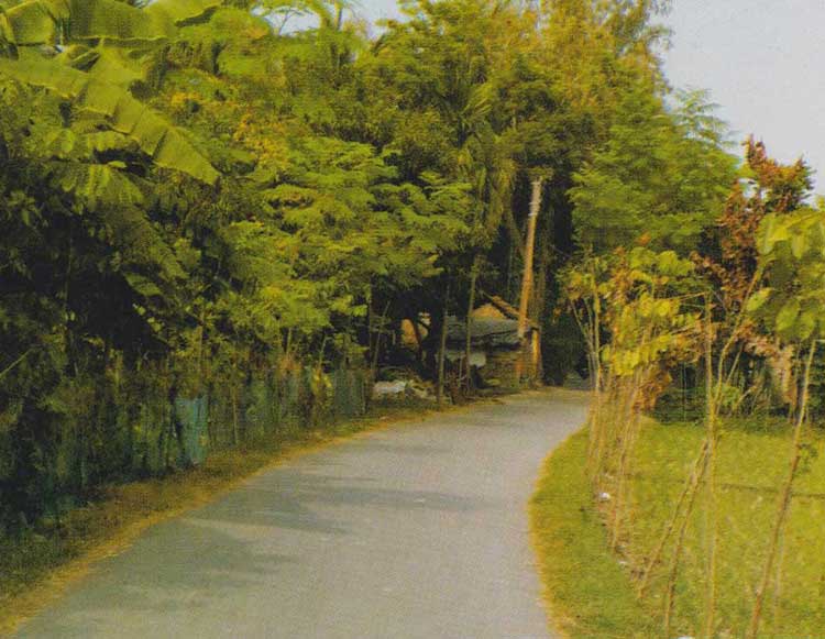 photo-7.jpg